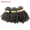 Glamorous Brazilian Virgin Hair Spiral Curly Hair Weaves with Closure Natural Color Unprocessed Human Hair And Lace Closure 4Pcs/lot