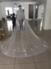 Veli da sposa progettati 2 strati Applicazione di pizzo Lunghezza cattedrale Blush Face Velo da sposa Morbido tulle Veli da sposa Capelli da sposa con pettini