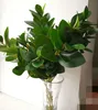 Vegetazione finta Peperomiate Trophylla Ramo di un albero Pianta Steli di ulivo verde artificiale 90 cm per Home Office Wedding Road Leading Decoration
