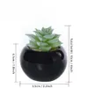 Verde da flor + vaso vaso Artificial Succulent Plantas Bonsai set falso da flor com vaso Início Varanda Decoração