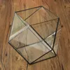 Polygon Serre Verre Terrarium DIY Micro Paysage Plantes Succulentes Pot De FleurCréer une atmosphère paisible et micro jardin et faire