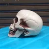 Halloween Skull Prop Scary Simulation Plastic Skull Decor Skull Skeleton Props for Party Haunted House Roombreak Bar JK1909XB