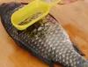 Kitchen Tool Fast cleaning Fish Skin Scales Scaler Brush Remover Peeler Scale shaver fish-scale plane fish scales flaker