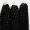 Micro ring hair extensions afro kinky curly human hair bundles Micro Loop Human Hair Extensions 300s Micro Bead European 300g