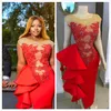 2020 Arabic Aso Ebi Red Sexy Sheath Evening Dresses Lace Beaded Prom Dresses Sheer Neck Formal Party Second Reception Gowns ZJ258