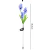 Lumières de fleurs solaires jacinthe 3 LED lampe de jardin élégante lampe étanche décorative extérieure pour pelouse Patio allée allée 4 pièces/lot