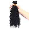 4B 4C Bulk Mänskligt hår för flätning Peruvian Afro Kinky Curly Bulk Hair Extensions Ingen bilaga Fdshine