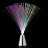 Multicolor LED Fiber Optic Light Night Lamp Holiday Chrol Wedding Home Decoration Nighting Lighting Lamps 2pcs