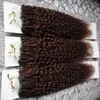 300s Kinky Curly Micro Loop Hair Extensions 300g Micro Loop Ring Hårförlängning Blond Remy Färgade Hårlås