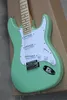 Green Plant with Maple Neck Electric Guitar Custom and Bugs White Pickguard Materials of Chromium offers Personalized8238504