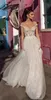 섹시한 라인 웨딩 드레스 환상 오프 어깨 민소매 백 레이스 신부 드레스 레이스 Appique 신부 가운