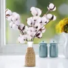5 pièces tête de kapok artificielle fleur séchée naturelle coton mariage maison décoration de pâques fournitures bricolage couronne bouquet boîte-cadeau