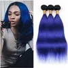 zwarte en blauwe hair extensions