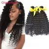 Glamorös brasiliansk hårväft Naturlig färg 8-34Inch peruanska Malaysiska Indiska Curly Hair Extensions 3pcs Virgin Hair Weaves för svarta kvinnor