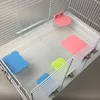 Liten hamster ekologisk styrelse plattform konsol rack leksak rektangulär ekorre bur tillbehör färgglada husdjur levererar yq01758