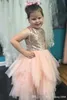 Jewel Neck Sequined Blush Pink Flower Girls Dresses Ruched Tiered Tulle A Line Little Girls Birthday Pageant Dress