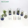 Nordic Transparent Glass Dubbelskikt Hydroponic Succulent Växt Vase Geometri Växtblomma Inserter Heminredning Blomsterkruka T200104