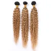 Fasci di tessuto per capelli umani ricci peruviani biondo miele Kinkys Curly 3 Offerte di pacchetti # 1B 27 Estensioni dei capelli vergini Ombre castano chiaro radice scura