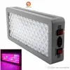 المتقدم البلاتين سلسلة P300 600W 12 فرقة LED تنمو ضوء المصابيح AC 85-285V مزدوجة - DUAL VEG FLOWER الكاملة SPECTRUM بقيادة مصباح الإضاءة