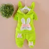 Herbst Baby Kleidung Kinder Jungen Mädchen sport Kaninchen Hoodies Hosen 2 Teile/sätze Kleinkind Aktive Kleidung Infant Kinder Trainingsanzug