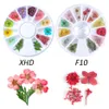 12 Tipos 3D Flores secas Nail Art Decoração DIY Beleza Pétala Floral Decalque Adesivo Seco Flor Gel Polonês Acessórios