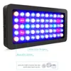 CRESTECH LED Aquarium Light 165W Full Spectrum Dimmable for Fish Tank Coral Reef Growth in Freshwater and Saltwater with White Blue