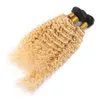 1B 613 Ombre Blond Human Hair Bundles głębokie fala Brazylijskie wiązki ciemne korzenie platynowe blondynki Kuronowe przedłużanie włosów dziewiczych 3PCS lO4178343