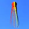 Acessórios Polvo Kite 3D Kite Cartoon Colorido Skeletonfree Long Tail Fácil de voar Praia Kites esporte ao ar livre Jogar