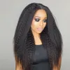 Black Brown Blonde Kinky Straight Clip in Human Hair Extensions 8pieces Set 100120g grov Yaki Clip Ins obearbetat mänskligt hår V7607545