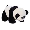 soft panda