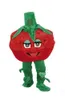 2019 Wysokiej jakości Hot Raspberry Character Cartoon Character Mascot Costume Custom-Made