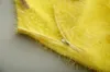 2020 Sale Spring ins insloet взлетно-посадочная полоса Новый Горячий Hign-End Englise шеи с длинными рукавами Печатная печать мода женские свитера
