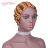 Micro Braid Wig African American Braided Wigs For Women 14quot syntetiska peruk Långt rakt hår flätad spetsfront peruk Box Braid8988699