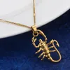 Cor do ouro Scorpion Colar Pingente constelação do zodíaco Astrologia na moda cadeia de jóias