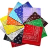 Hip Hop Square Bandanas 55 * 55cm Polyester Tryckt Paisley Headband Sports Vandring Magiska halsdukar 19 färger OOA7632-3