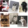 Katzen- und Hundesonnenbrille, Haustierbrille für kleine Hunde, Haustierprodukte, Fotos, Requisiten, Zubehör, Heimtierbedarf, Katzen, Brillen, Spielzeug