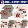 Buffalo Bisons Vladimir Guerrero Jr. Jersey Randal Grichuk Cavan Biggio Jonathan Davis Lourdes Gurriel Jr. Eric Sogard Patterson