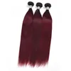 Extensions de cheveux humains malaisiens 4 paquets 1B/99J Ombre cheveux Double trames 1b 99j soyeux droit 4 pièces/lot en gros