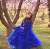 Vintage Royal Blue Girls Pageant Jurken High Collar Lace Top Tiered Ruches Prinses Cake Jurk Formele Party Verjaardag Toga's