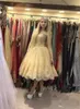 Nowe krótkie mini szampana sukienki z domu w domu Puffy v szyja koronkowe aplikacje iluzja długie rękawy sukienki koktajlowe plus rozmiar