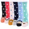 2020 automne femmes chaussettes mignon point animaux Panda tigre pingouin Jacquard chaussettes fille étudiants chaussette M120