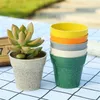 Succulente Plant Pot Leuke Animal Flower Planter bloempot Mooie kleine dieren Home Garden Bonsai Pots YQ00999