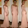 2020 New Arrival Pink Mermaid Mother Of The Bride Dresses Off Shoulder Long Sleeves Lace Appliques Tulle Plus Size Party Evening Gowns