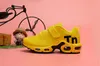 Nike Mercurial Air Max Plus Tn 2019 Kids TN Plus Designer Sport Running Shoes Bambini Boy Girls scarpe da ginnastica Tn Sneakers Classic Outdoor Toddler Shoe