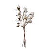 10 Pcs Dried Flowers Head 30cm Cotton Stem Floral Branches Artificial Floral Decoration
