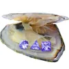 2019 Three loose cubic zircons of different shapes Aqua blue 8mm*8mm are displayed in vacuum-packed oysters