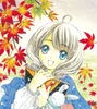 Стилизованная карта Captor Sakura CLEAR CARD Shinomoto Akiho Косплей Парики с вьющимися волосами Парики