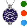 Aromatherapy Essential Oil surgical Stainless Steel Perfume Diffuser Oils Locket Necklace with chain and felt pads. Free shipping