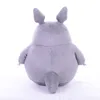 2030 cm Cartoon carino imbottito il mio vicino Totoro Plush Toys Regali anime bambola per bambini Decorazione regalo per bambini1912884