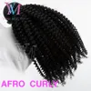 Vmae Nouvelle Arrivée Mongol Birman Afro Crépus Bouclés droite Remy Vierge 4A 4B 4C 3A 3B 3C Trame de Cheveux Weave Piece Extensions de Cheveux Naturel